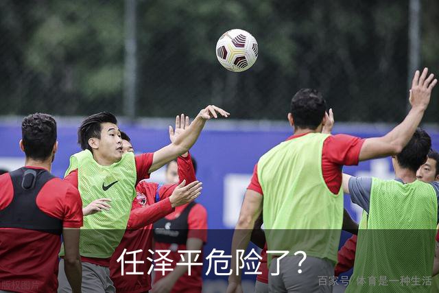 任泽平危险了？