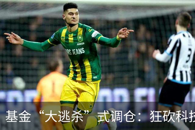 基金“大逃杀”式调仓：狂砍科技仓位！
