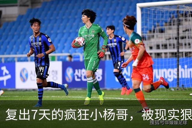 复出7天的疯狂小杨哥，被现实狠狠打了一巴掌