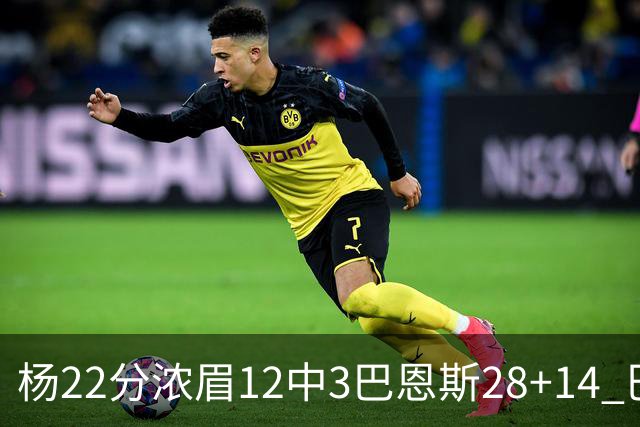 杨22分浓眉12中3巴恩斯28+14 巴雷特23+9猛龙力克奇才