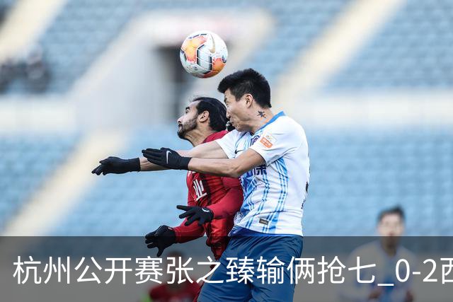 杭州公开赛张之臻输俩抢七 0-2西里奇收获亚军