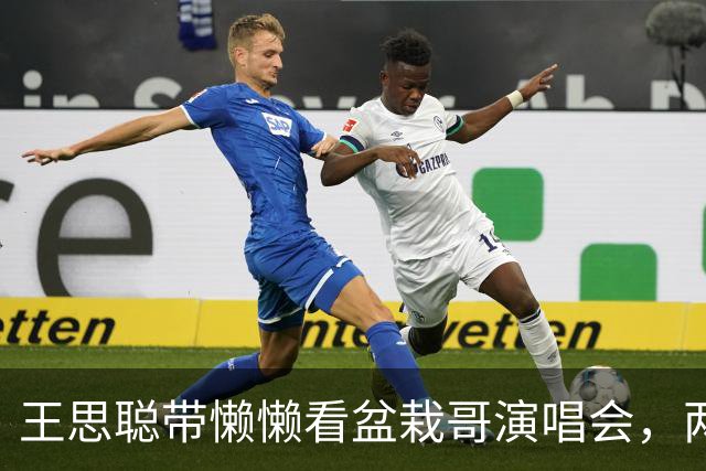 王思聪带懒懒看盆栽哥演唱会，两人坐VIP位置，戴口罩仍被认出！