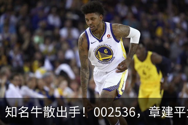 知名牛散出手！002536，章建平大举买入