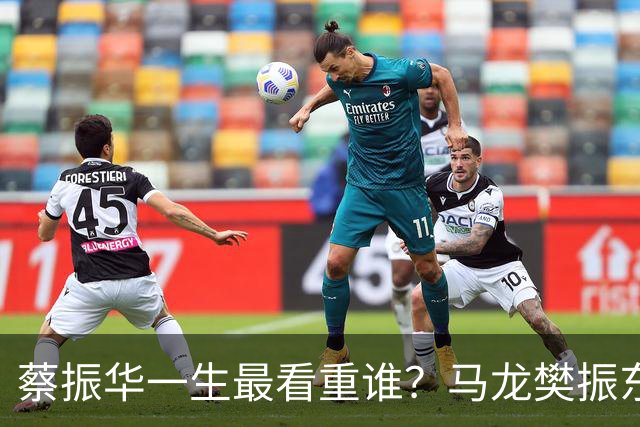 蔡振华一生最看重谁？马龙樊振东都落选，保国乒长青的底牌终揭晓