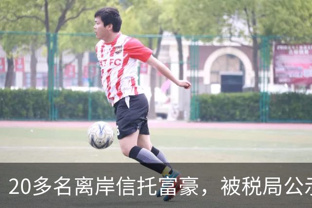20多名离岸信托富豪，被税局公示催告