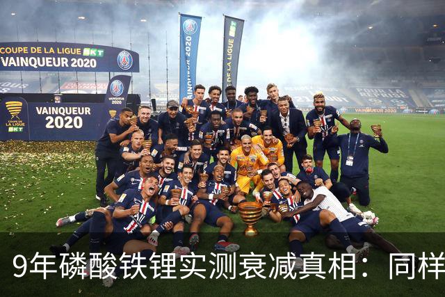 9年磷酸铁锂实测衰减真相：同样开9年，健康度差14%！车主必看