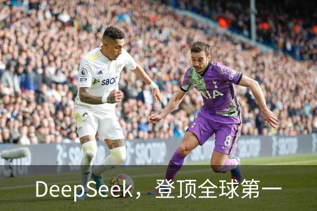 DeepSeek，登顶全球第一